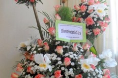 Caracas: visita della Madre e convivenza 2014
