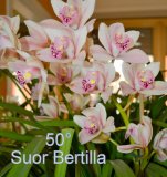 1giubilei_ago_12_gallery
